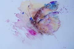 Schmetterling / Aquarell / 24 x 17