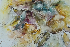 Blumenstudie / Aquarell / 30 x 40