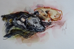 Schläfchen / Aquarell/Mischtechnik / 14,8 x 10,6