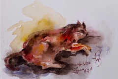 Rote Katze / Aquarell / 14,5 x 10,5