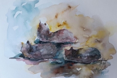 Katzenskizzen / Aquarell / 20,5 x 14,5