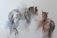 Skizzen / Pafos Bird and Animal Park / Aquarell / 14,5 x 10,5