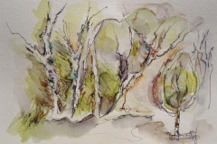 Im Birkenwald / Aquarell/Mischtechnik / 24 x 17