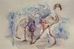 Weißer Strauß / Aquarell/Mischtechnik / 24 x 17