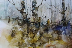 Birken mit Zaun / Aquarell/Mischtechnik / 24 x 17
